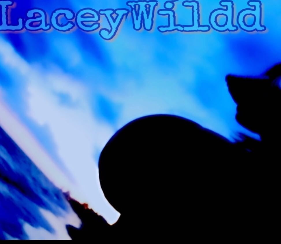 Lacey wildd - monster boobs
 #101005981