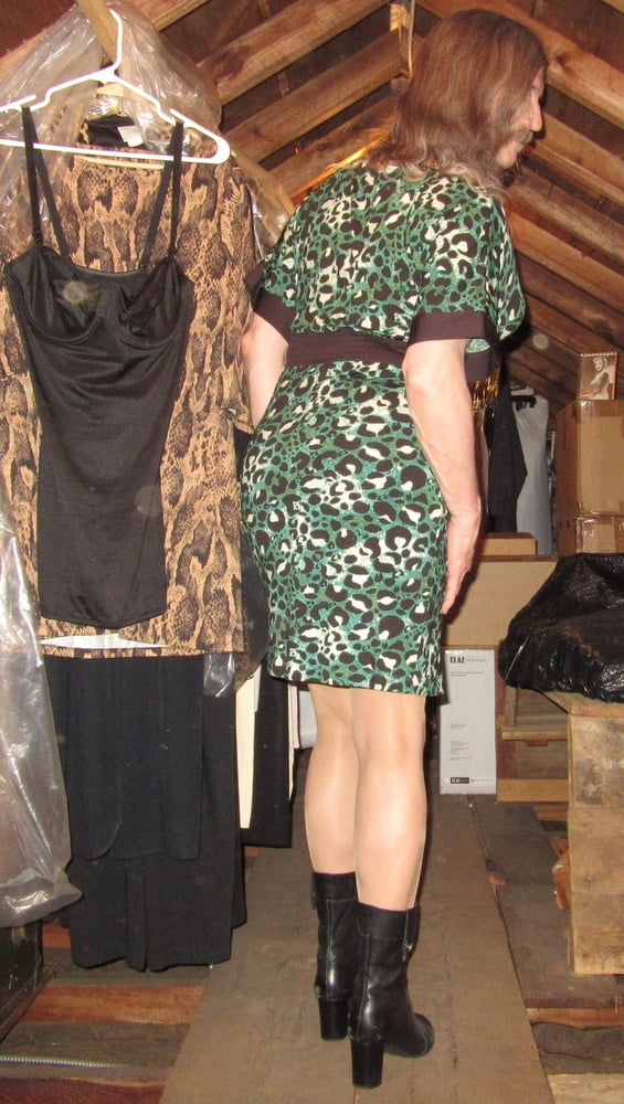 Der Leopard in ihrem Versteck pt. 2
 #90294783