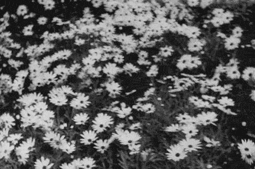 LINGERING ON FADING HANDS #80367310