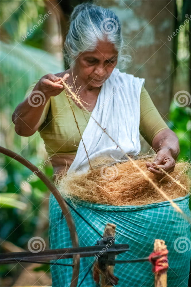 Indian Granny #87710073