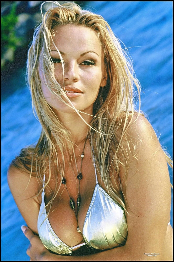 Pamela Anderson #94848316
