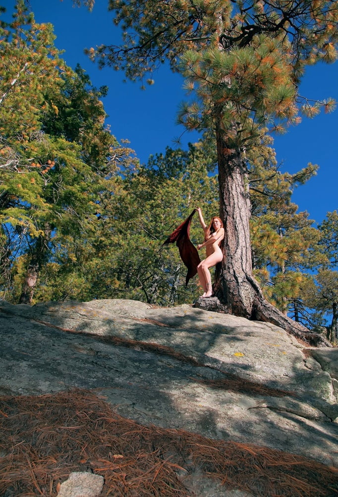 Tree Huggers 383 #88872113