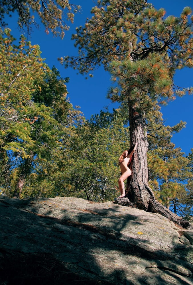 Tree Huggers 383 #88872153