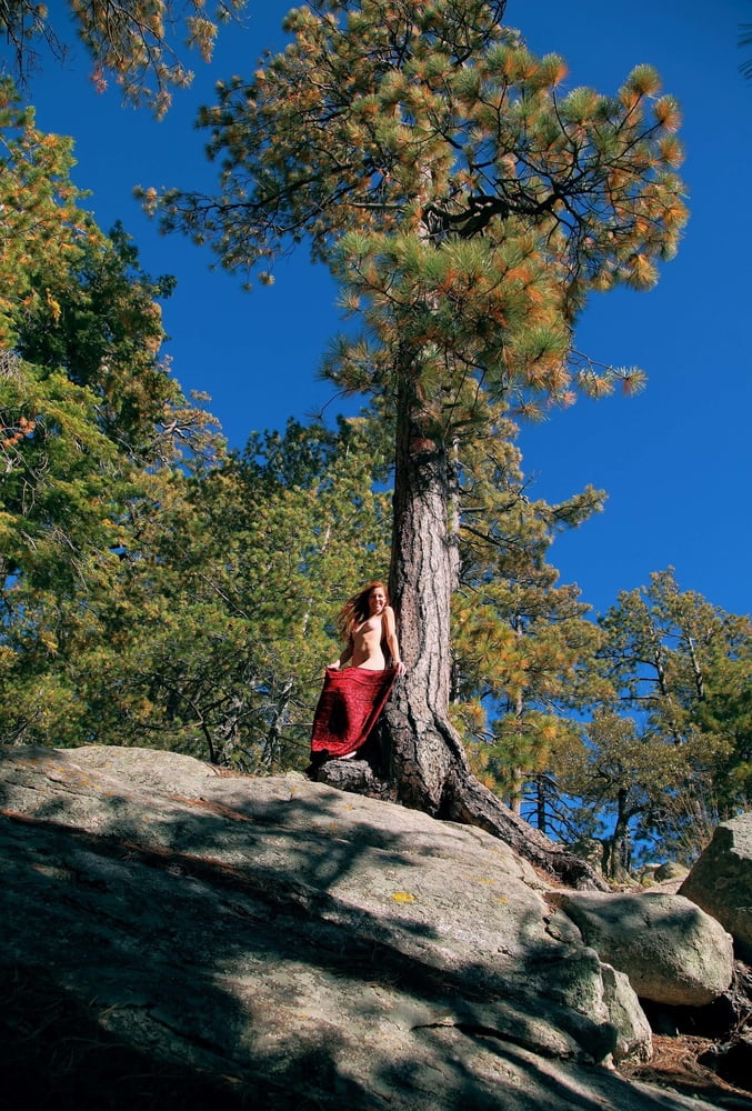 Tree Huggers 383 #88872162