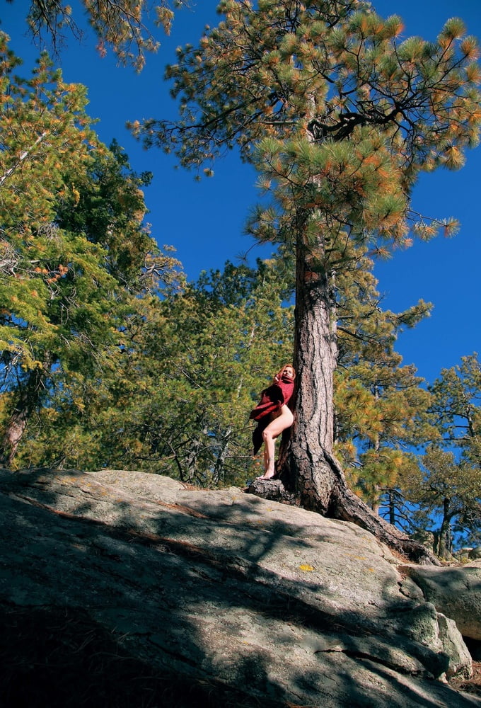 Tree Huggers 383 #88872172