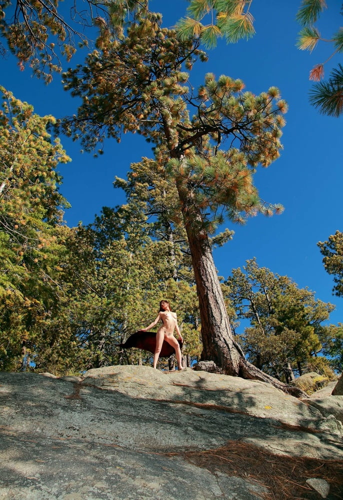 Tree Huggers 383 #88872182