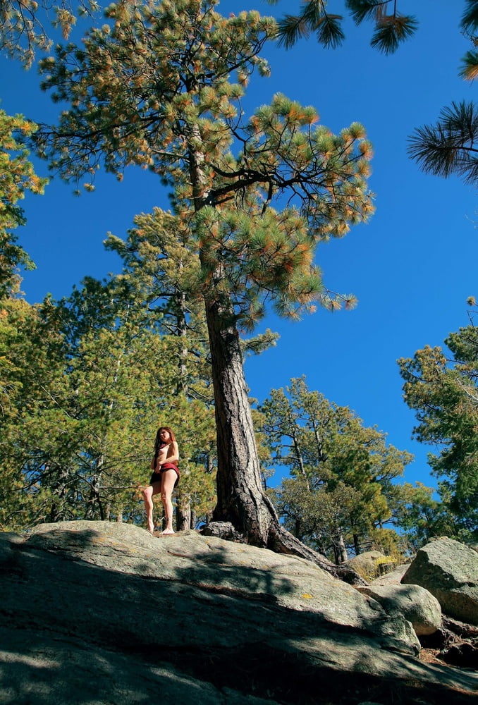 Tree Huggers 383 #88872202