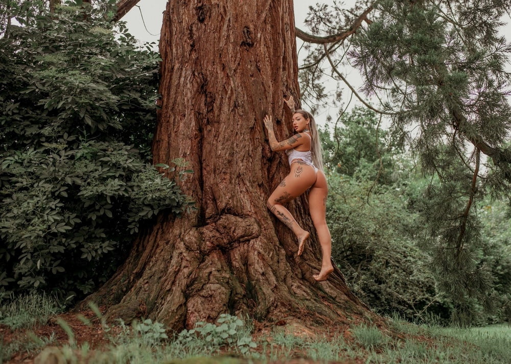 Tree Huggers 383 #88872243