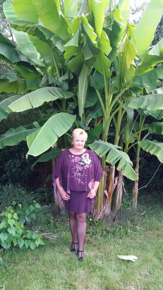 Mature mix #102938376