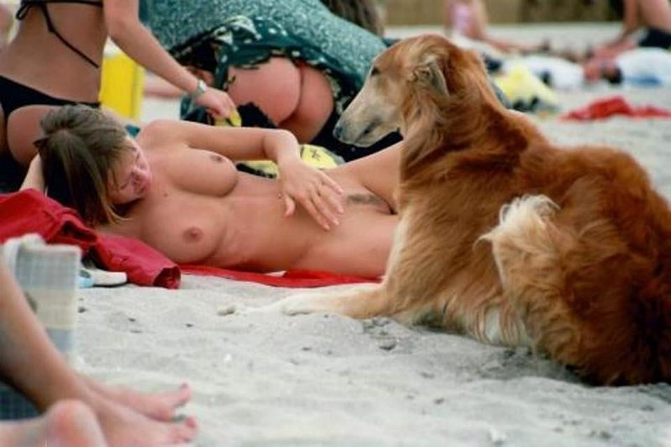 Beach season #10 #87346203
