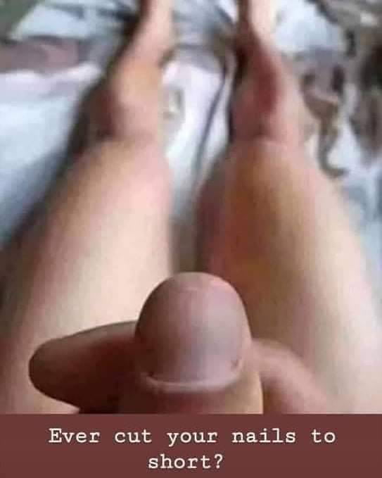 Dom and Muse 14 #101541918