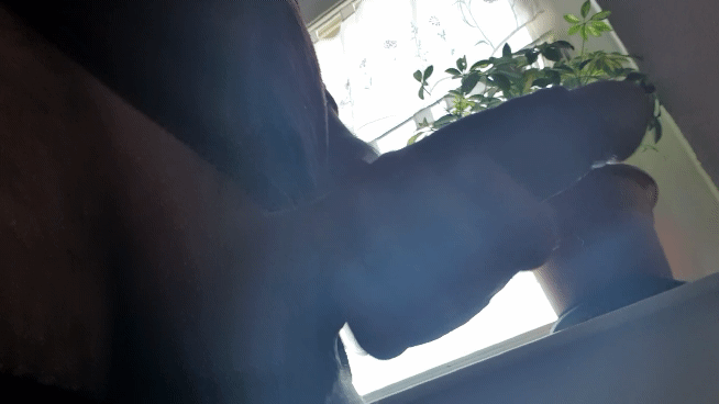 mijojebonja #89470816