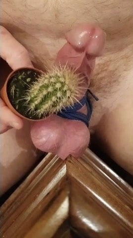 Cunt &amp; Cock on Cactus #89263909