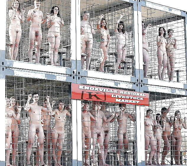 Pornucopia 731
 #97217569