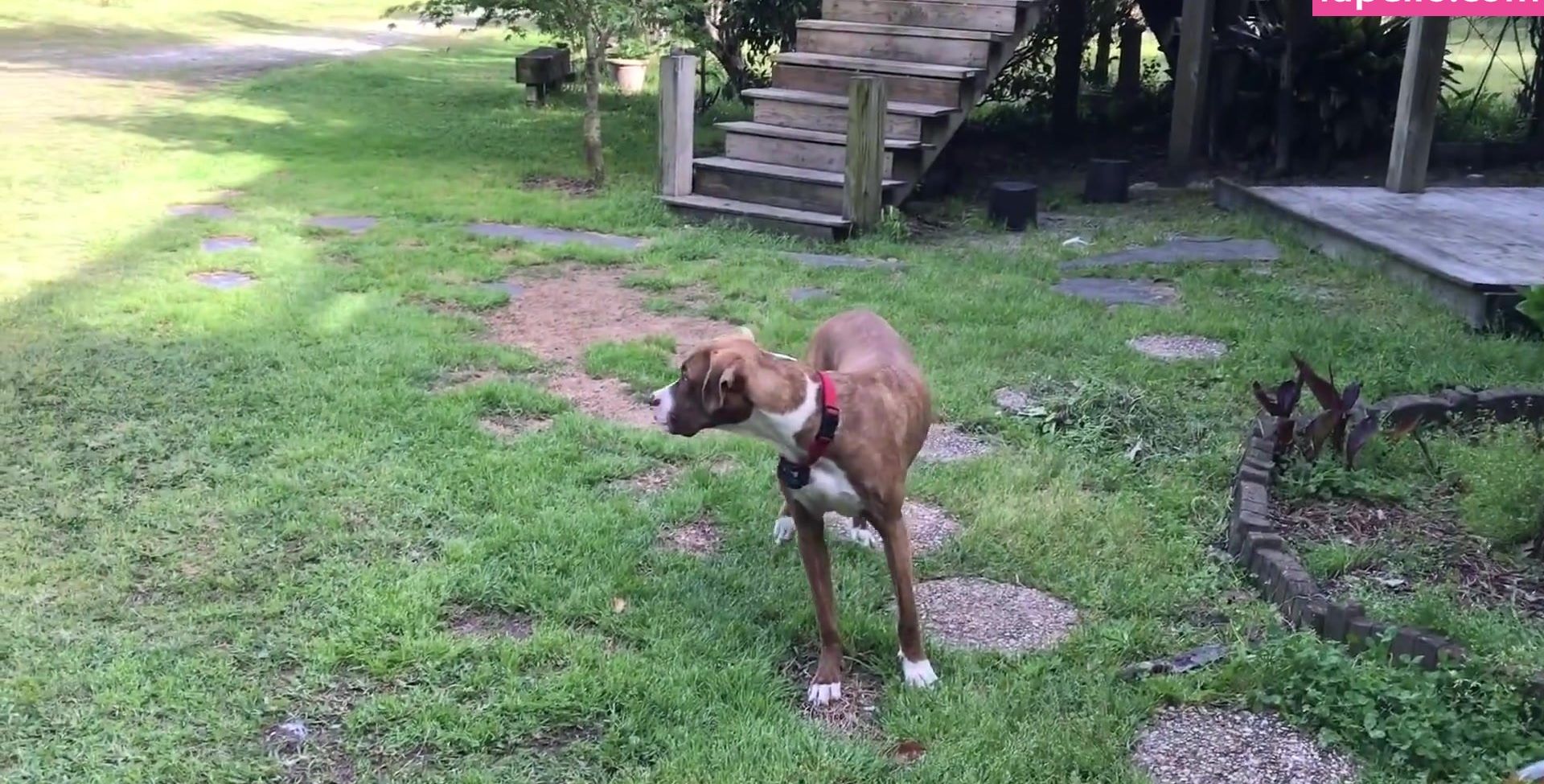 Bansheemoon desnuda #109171762