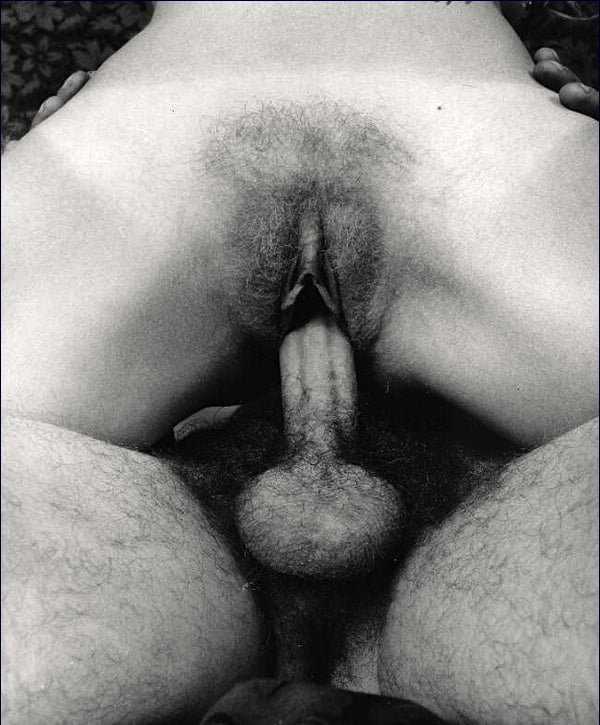 Pre digi camara pix 6
 #104308010