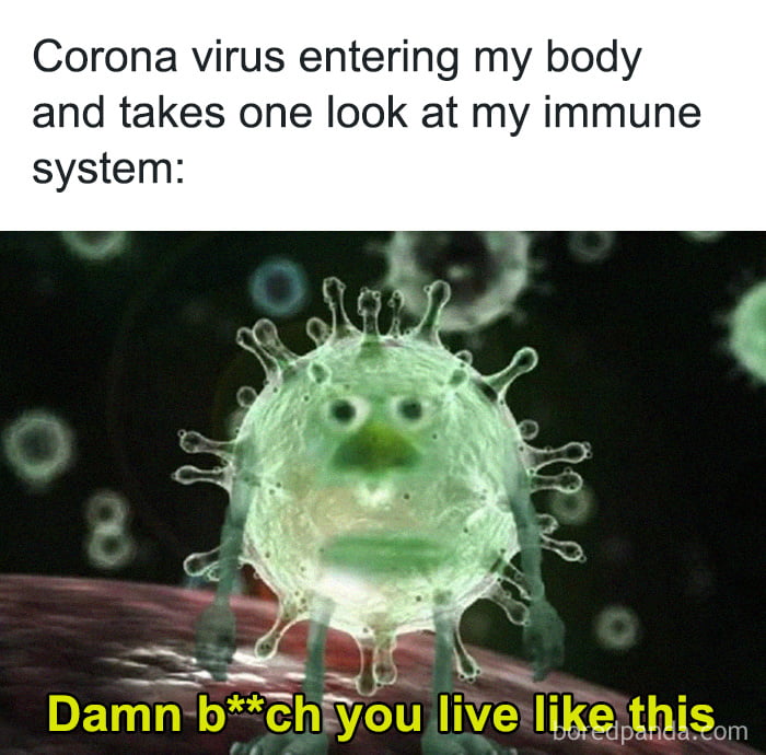 Der verdammte Corona-Virus ist eine echte Schlampe!!!
 #102880839