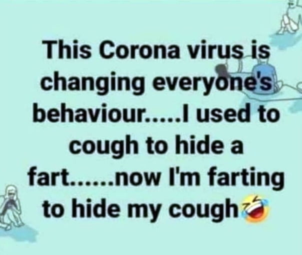 Der verdammte Corona-Virus ist eine echte Schlampe!!!
 #102880857