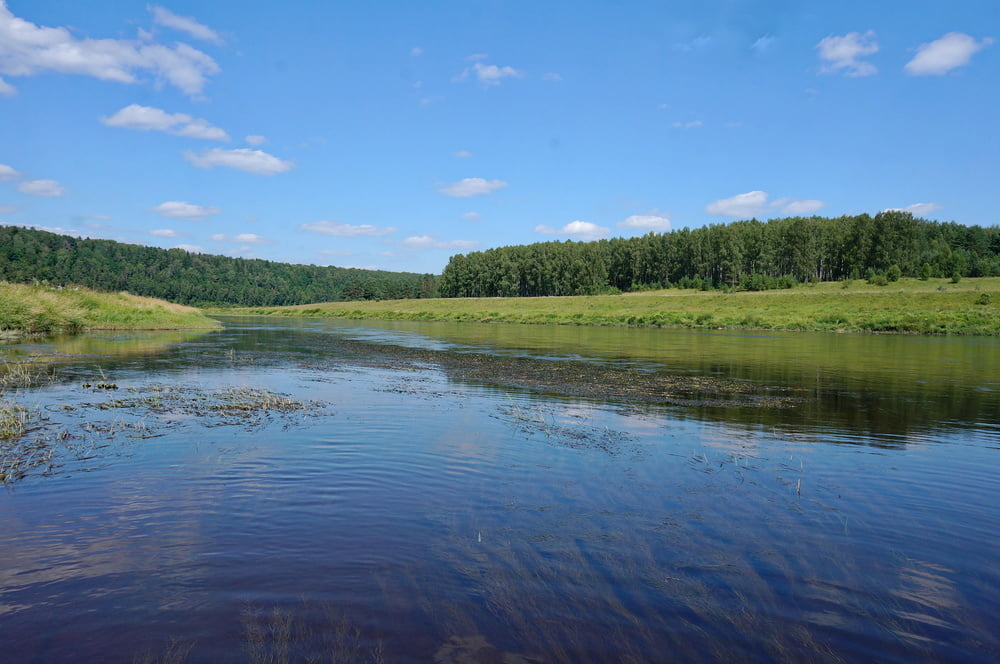 Mermaid of Volga-river #106875351