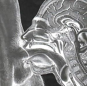 Best Fap Mix on the Net 75 #105168782