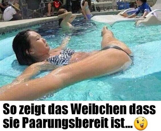 WhatsApp Picture Gallery #105748127