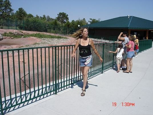 Madura 452
 #100218509