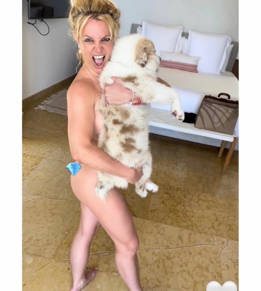 Britney Spears nude #107601059