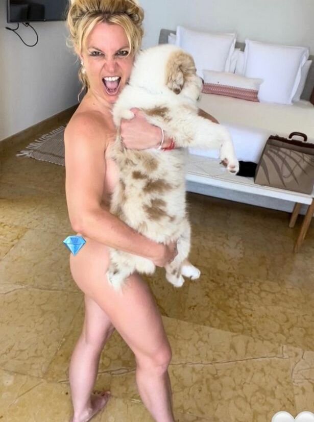 Britney Spears nude #107601069