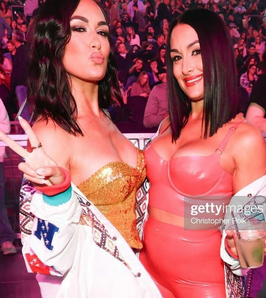 The Bella Twins: nackt #109153900