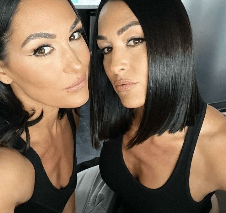 The Bella Twins: nude #109153904