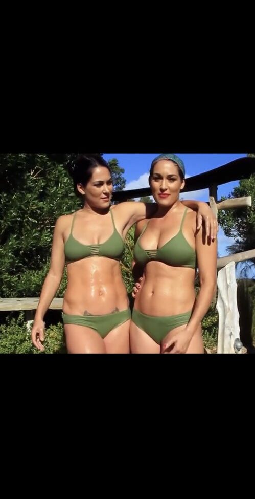 The Bella Twins: nude #109153921