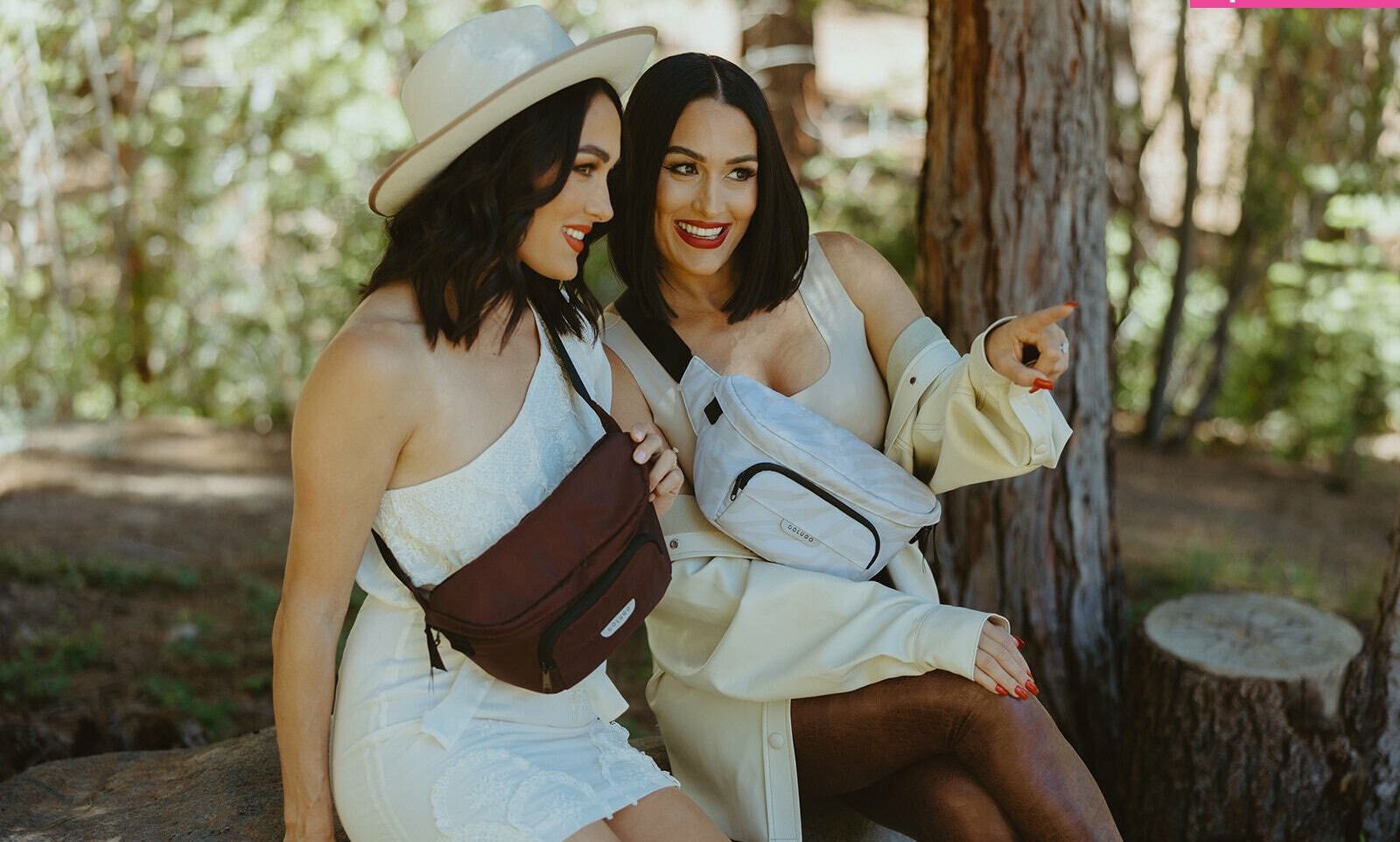 The Bella Twins: nude #109153973
