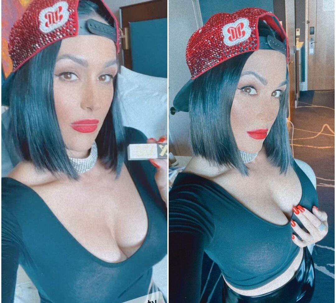 The Bella Twins: nackt #109153990