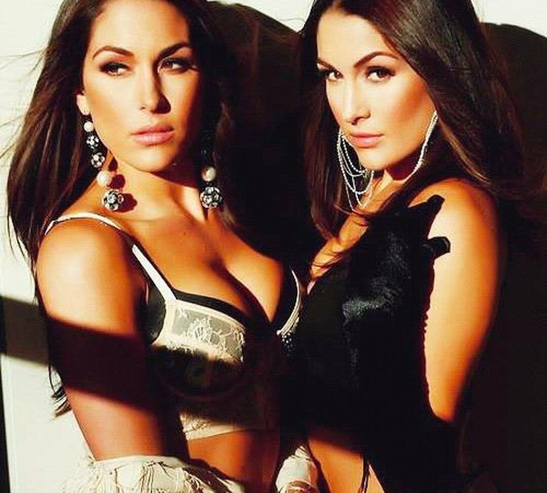 The Bella Twins: nude #109154014