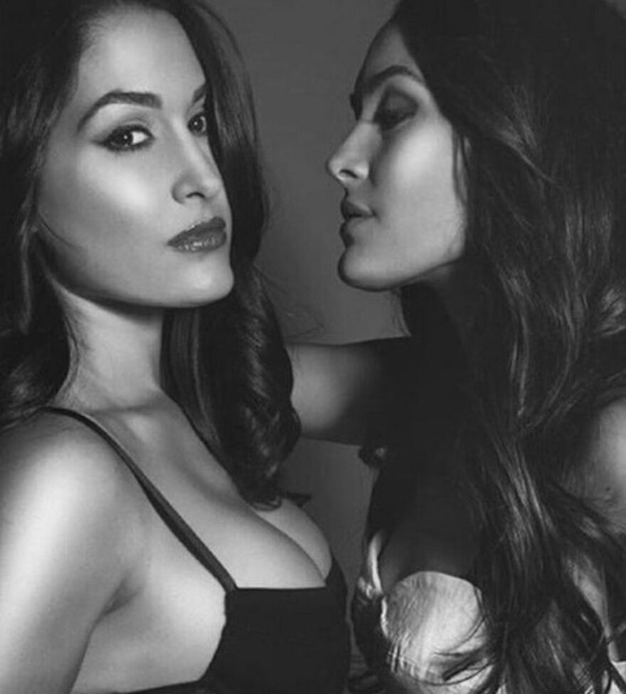 The Bella Twins: nude #109154017