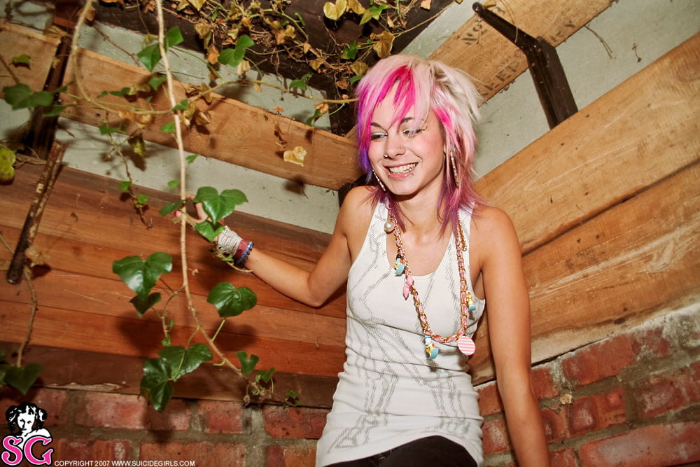 Suicide girls mix
 #95575685