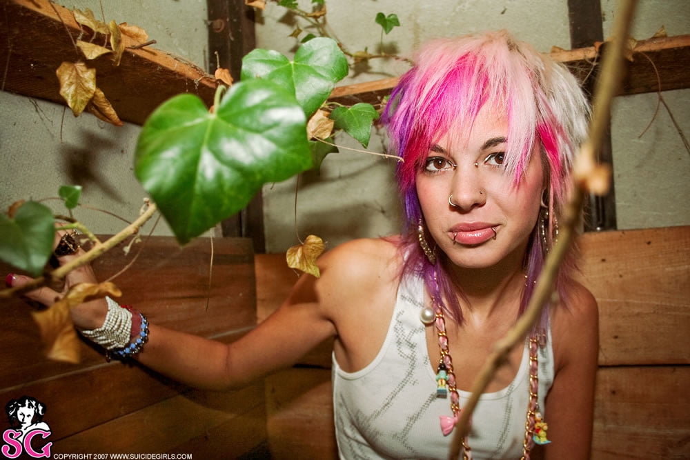 Suicide girls mix
 #95575687