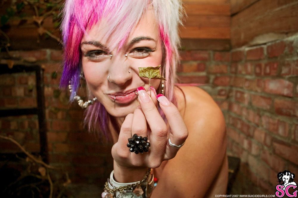 Suicide girls mix
 #95575715