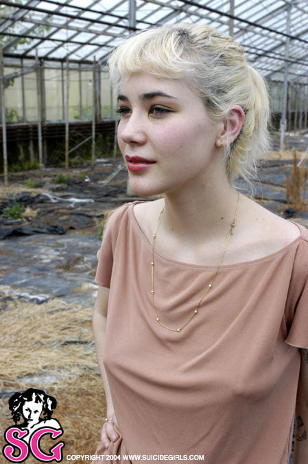 Suicide girls mix
 #95576304