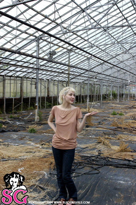 Suicide girls mix
 #95576306