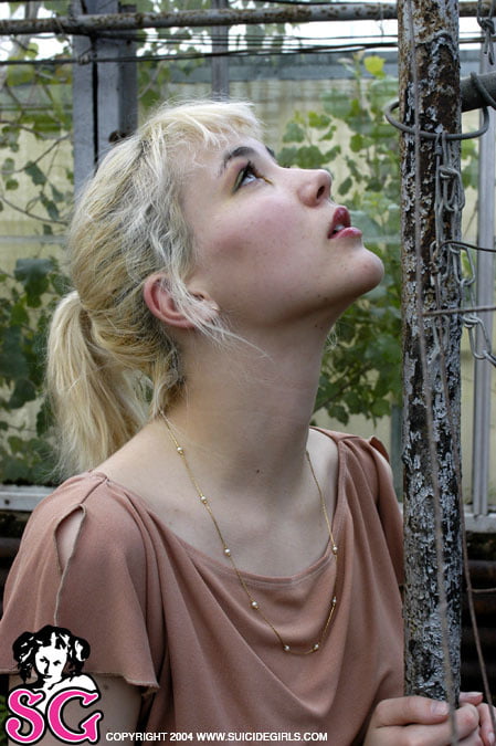 Suicide girls mix
 #95576309