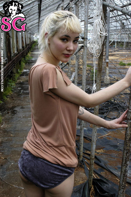 Suicide girls mix
 #95576310