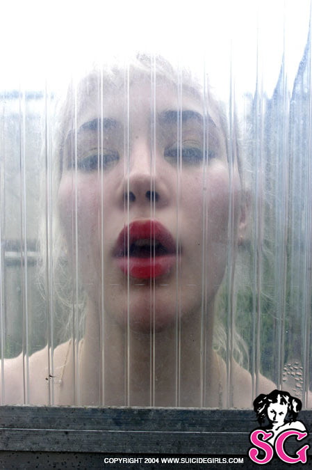 Suicide girls mix
 #95576338