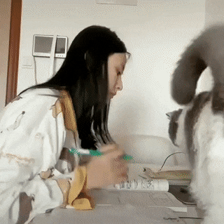 Gifs 274
 #81897875