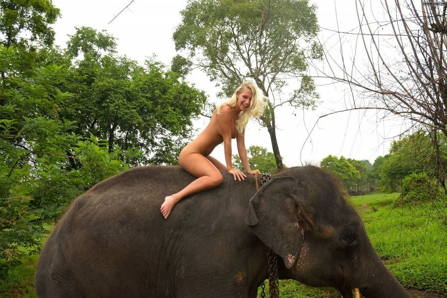terry naha visit to sri lanka #98541322