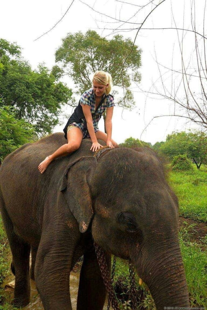 terry naha visit to sri lanka #98541360