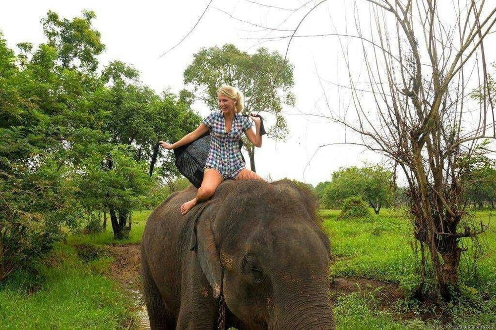 terry naha visit to sri lanka #98541365
