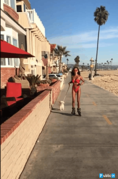 Follando frenesí (30)
 #105438531