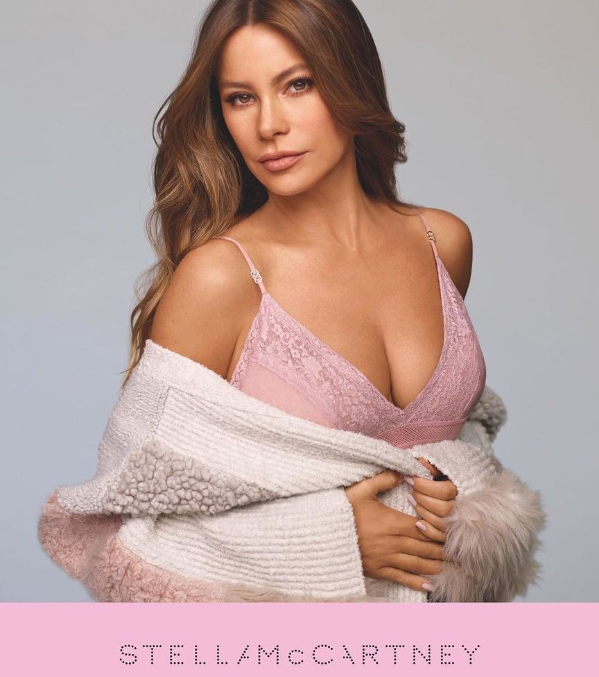 Sofia Vergara desnuda #107829936