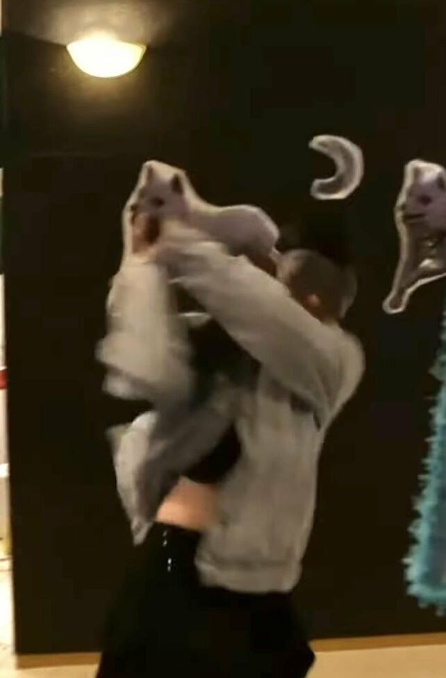 LilyPichu nackt #108273704